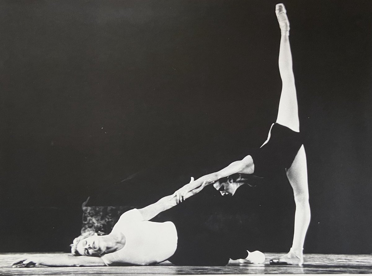 Stephanie Herman tweet media