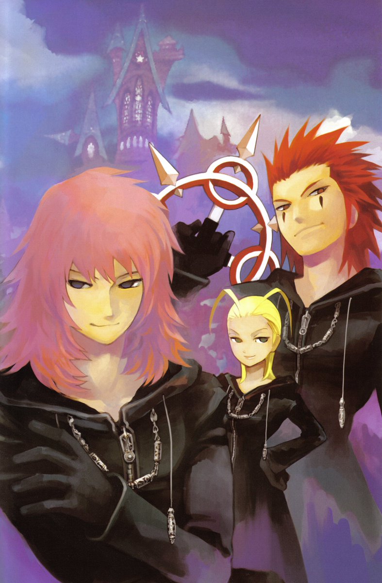 The organization (Kingdom Hearts Chain of Memories novel)