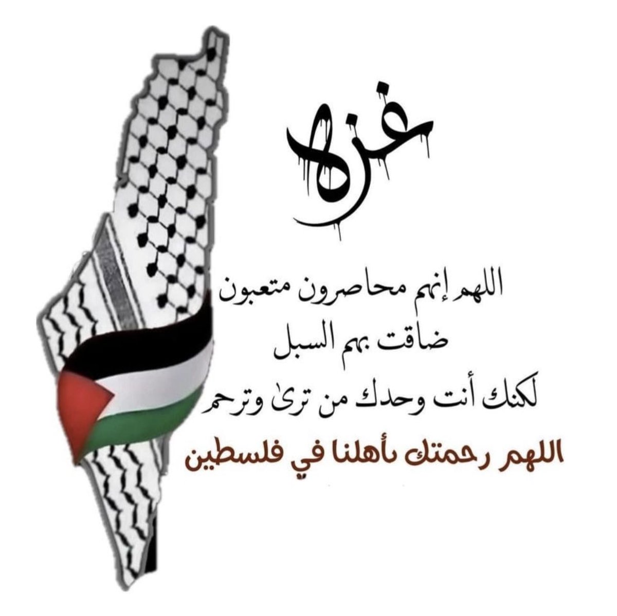 DohaArab2's tweet image. 