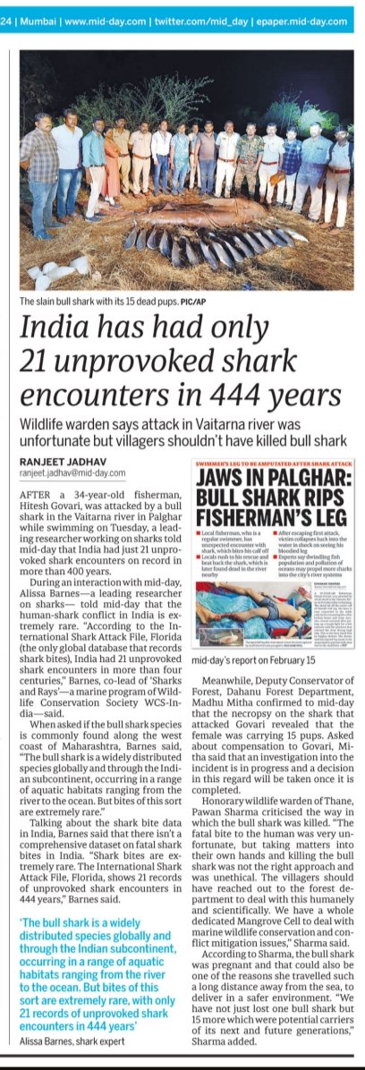 India has had only 21 unprovoked shark encounters in 444 years. mid-day.com/mumbai/mumbai-… @mid_day @raww_tweets @WCSIndia @MahaForest