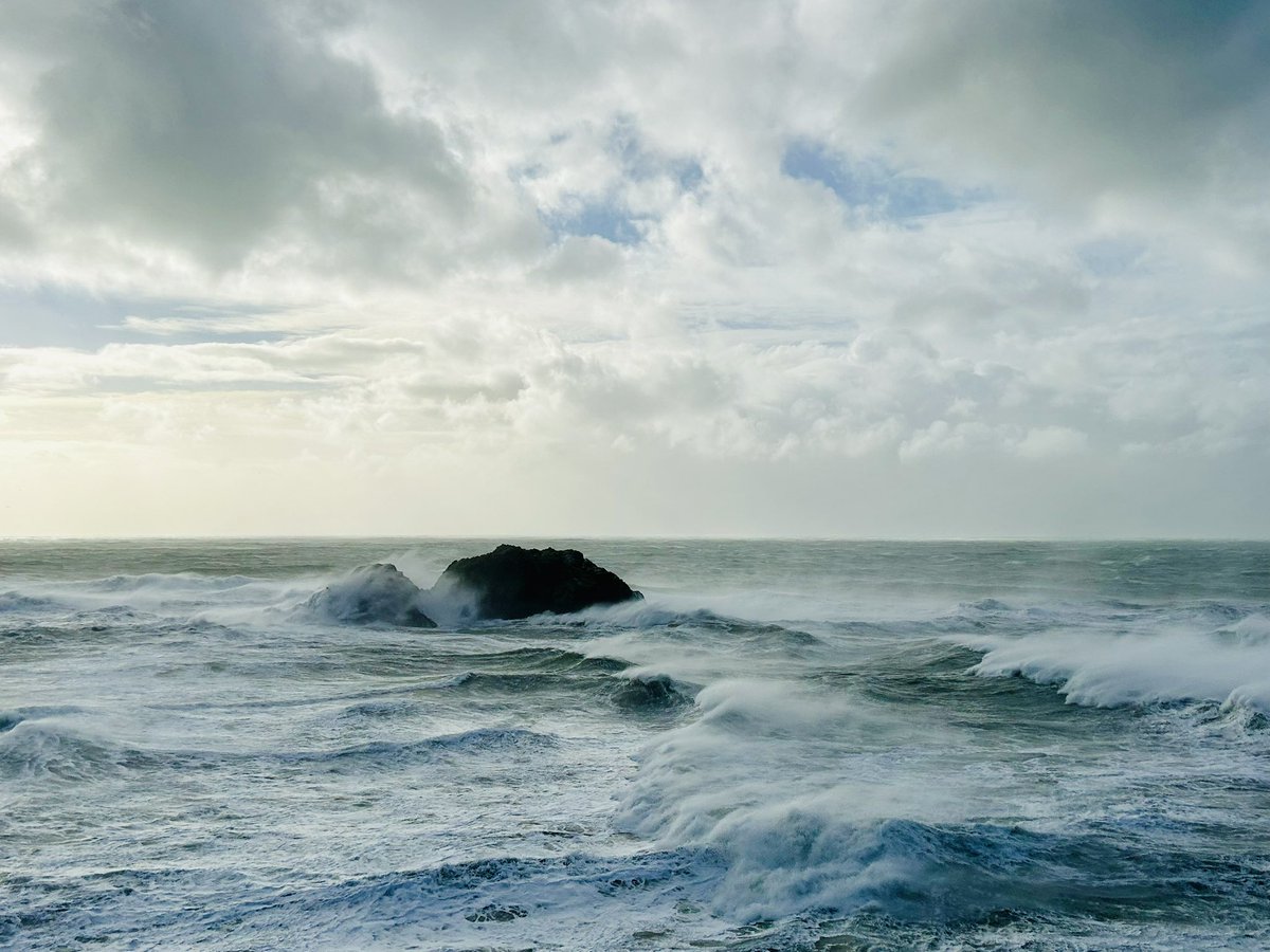 sfhellscape's tweet image. Rough seas
Lands End, SF
