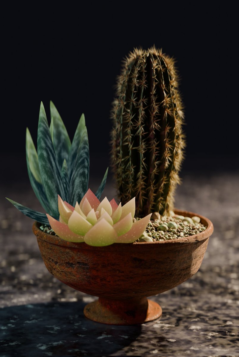 lttleghost's tweet photo. here's two other things I made in blender!! I modeled everything here - the cactus was made with geometry nodes and curves folliwing a tutorial I found, it's also the only object there that I didn't use a procedural material on
(those are super fun to make tbh....) https://t.co/FRfrFDbvFK
