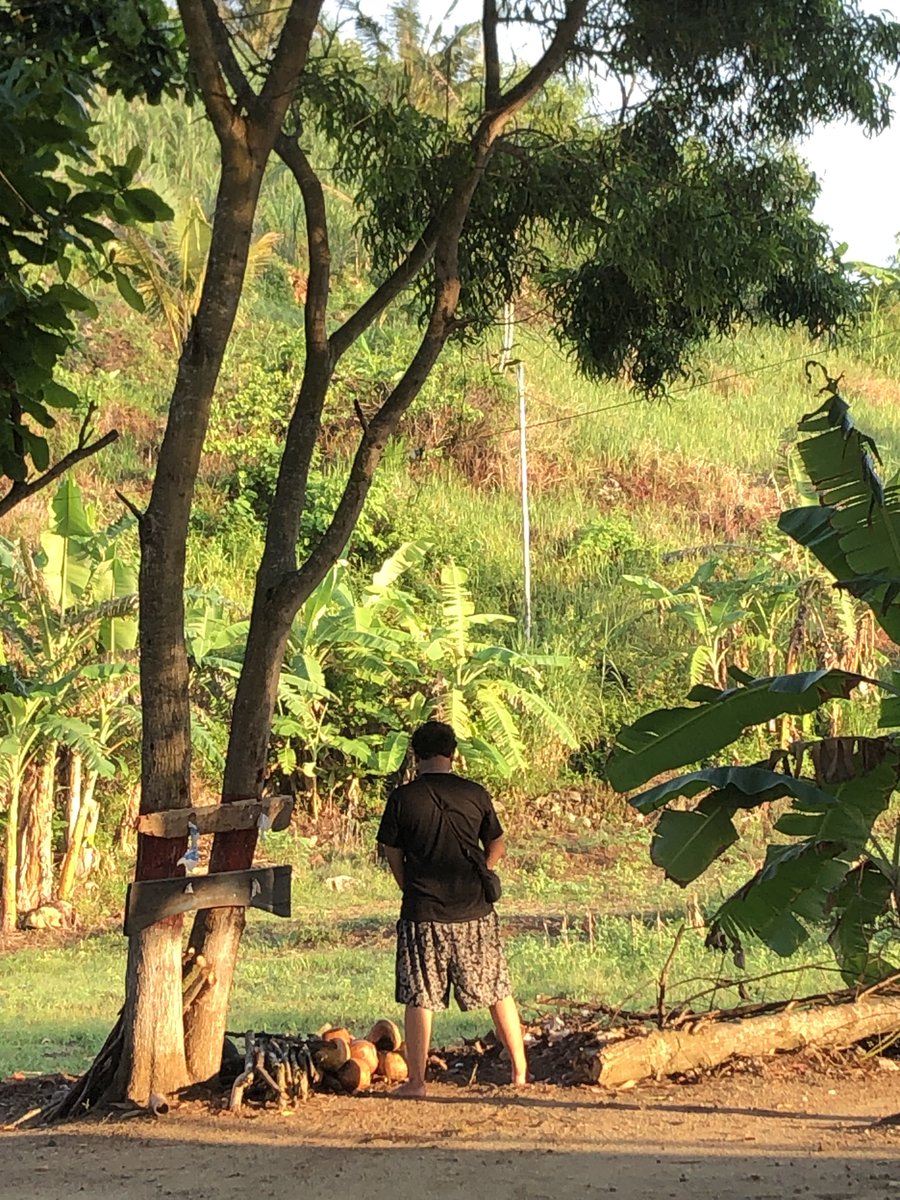ditosanda's tweet image. Met pagi dunia