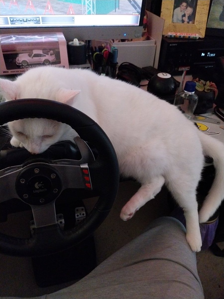 krislipman's tweet image. New desk setup needs adjustments Apparently 

#CoDriver not happy...