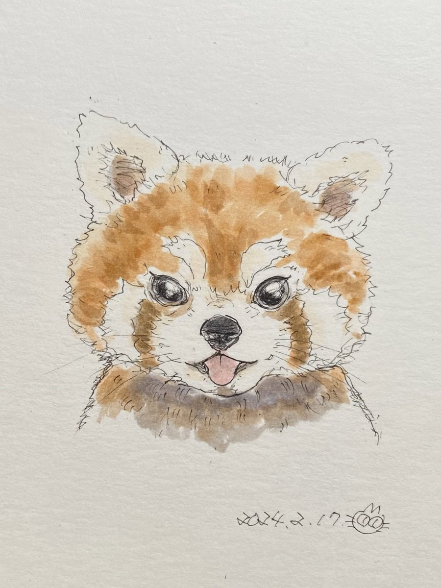 レッサーパンダイラスト