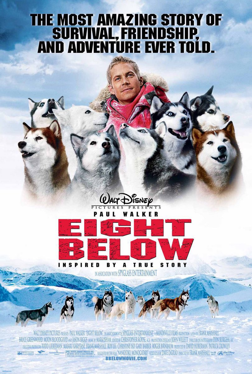 🎬MOVIE HISTORY: 18 years ago today, February 17, 2006, the movie ‘Eight Below’ opened in theaters!

#PaulWalker #BruceGreenwood #MoonBloodgood #JasonBiggs #GerardPlunkett #AugustSchellenberg #WendyCrewson #BelindaMetz #FrankMarshall