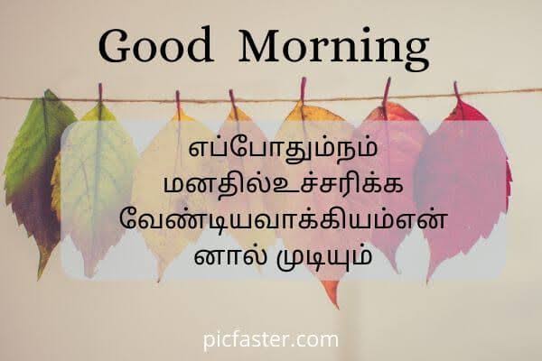 இனிய காலை வணக்கம் 🙏🥰🥰 #GoodMorningEveryone #SundayMorning