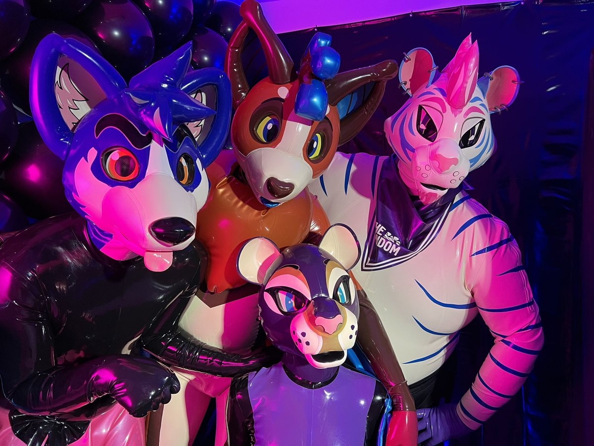 RubberQuietFire's tweet image. Working on a fun film shoot with @AshCoyote this #SqueakSaturday!  Featuring @Lycosaurus in Amor (purple cat) @avwuff, @FycusBat and myself!!

All hoods by @karinKariwanz 

📸:@PinkPurplePups