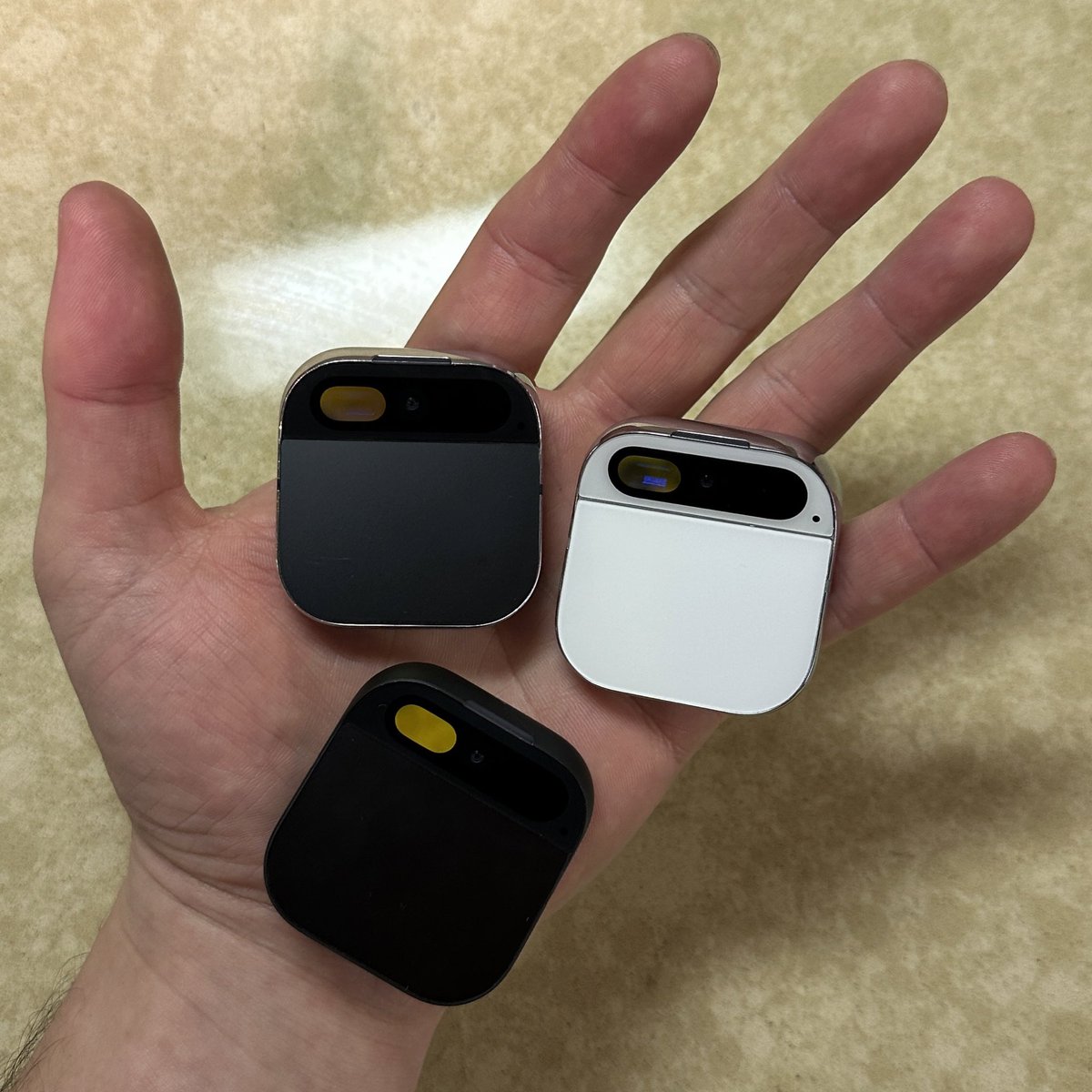 Sam Sheffer tweet media