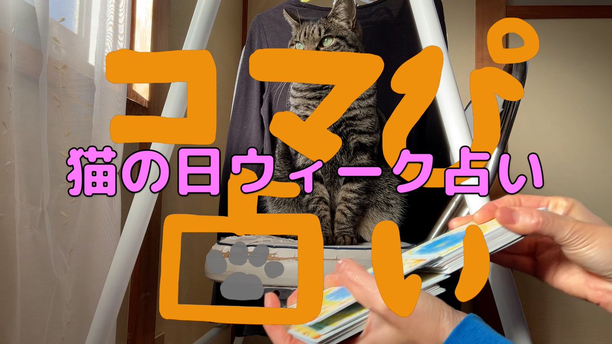 komapi_ch's tweet image. 来週はいよいよ猫の日ウィークですね！
猫の日ウィーク占いやって見たよ！
youtu.be/eXVfhdRLrdE

#cat #猫の日 #猫好きさんと繋がりたい𓏲𓎨  #猫のいる暮らし #占い