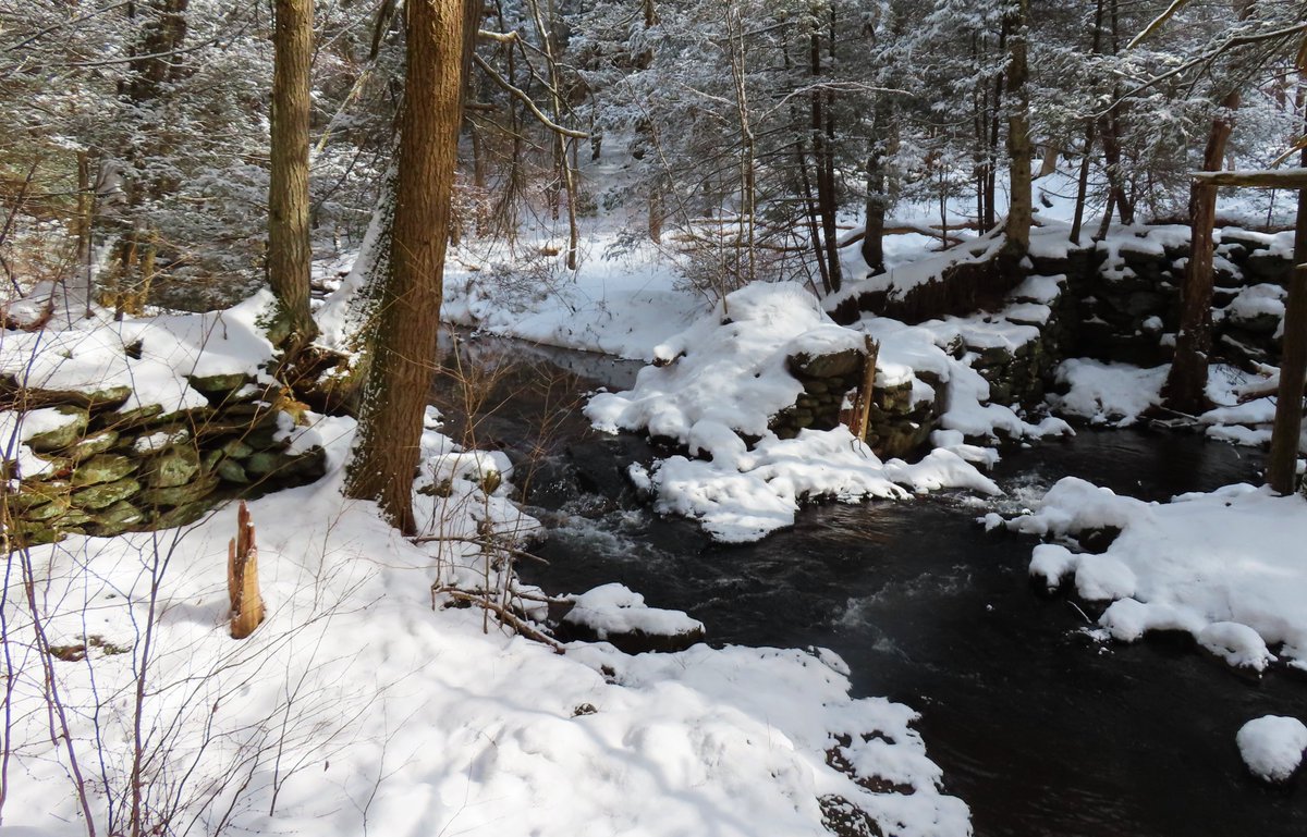 U3_Star's tweet image. The Mattatuck Trail #Wolcott
