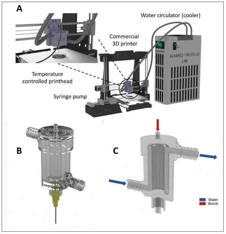 IJB_ASP's tweet photo. 🔥#InterestingPaper "Development of an affordable extrusion #3D #bioprinter equipped with a temperature-controlled printhead"
👥By Carlos Ezio Garciamendez-Mijares et al.

DOI: https://t.co/dIKRnzBXfj https://t.co/AsKKOJERNV