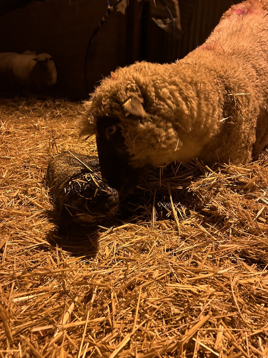 Good morning 🌧️🌧️