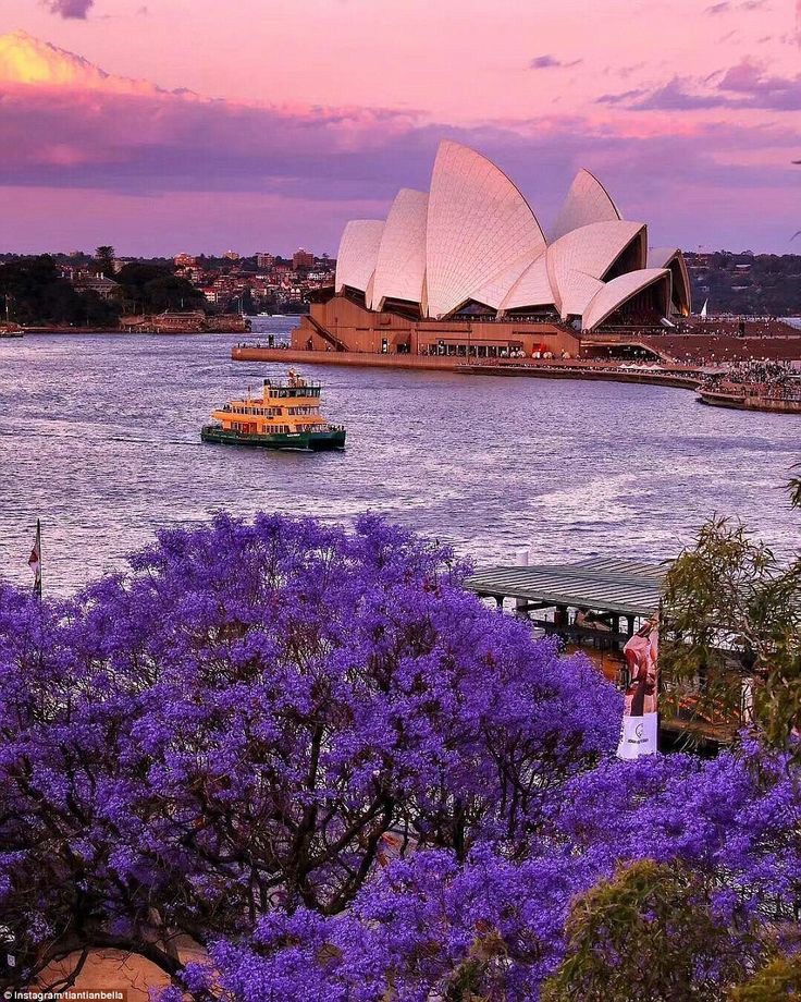 Dzzling beauty of sydney💜