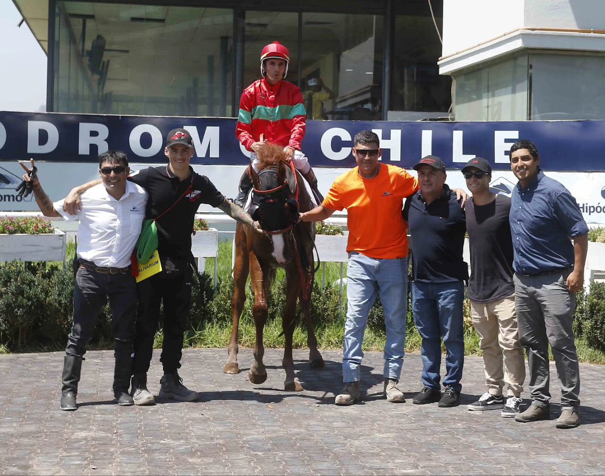 ¡Cónsul Dorado ya sabe de victorias! 💪🏼 El hijo de #Malagacy y Lovely Spirit, que había figurado en sus tres primeras actuaciones, derrotó por ½ cuerpo a Gran Orión en condicional de 1.200 metros corrida esta tarde en @hipodromo_chile. ¡Felicitaciones a todo el #TeamSumaya! 🎉