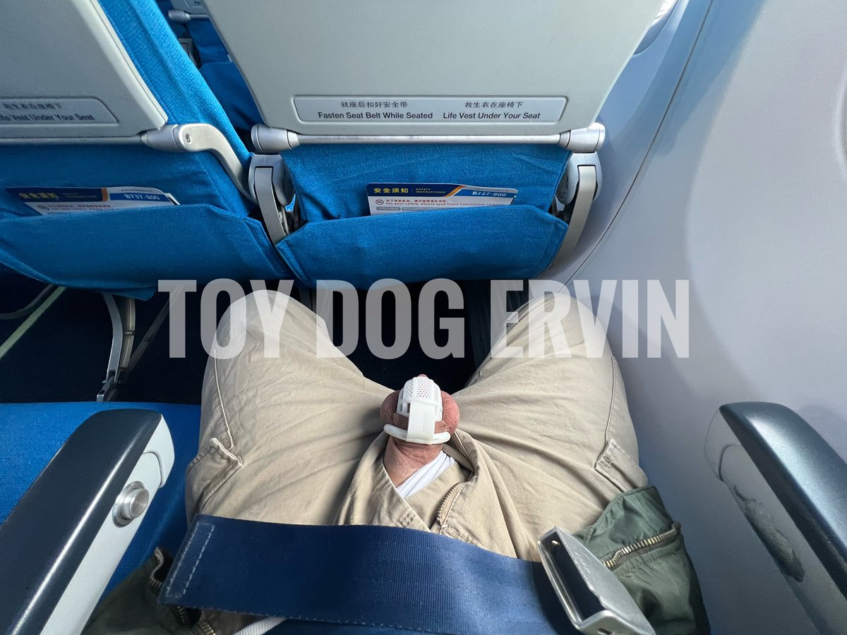 贱狗鸡吧在飞机上都不消停