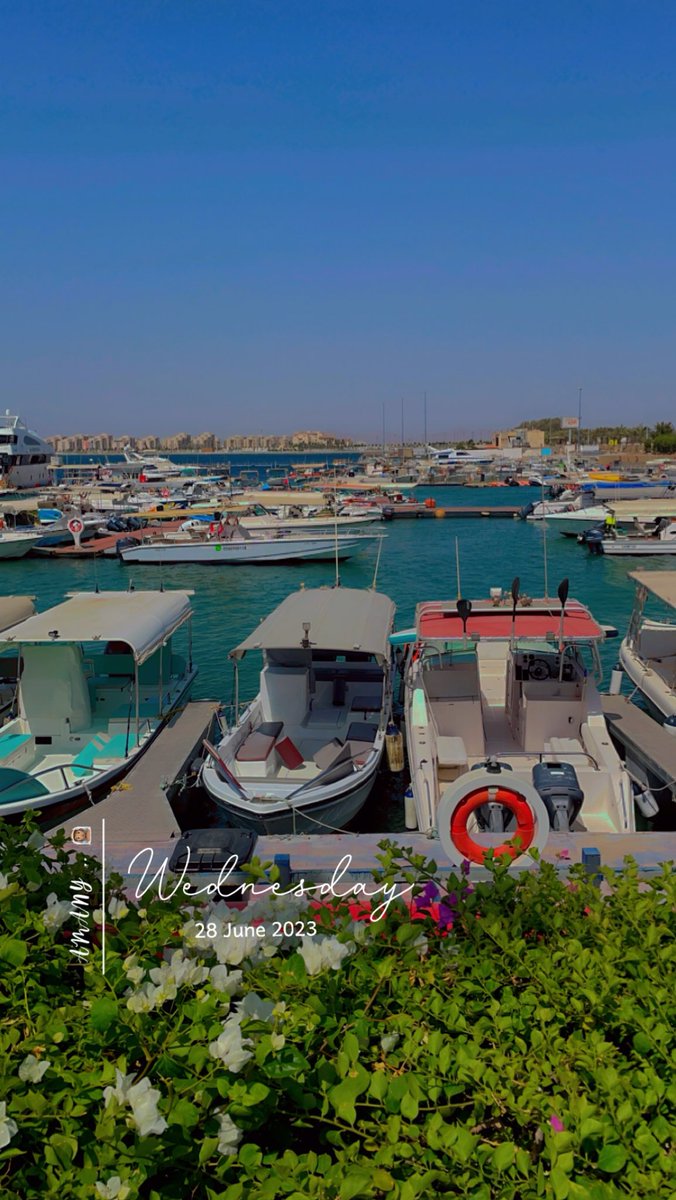 "مثلي ما صار بحياتك .. لا ولا عمره بيصير."