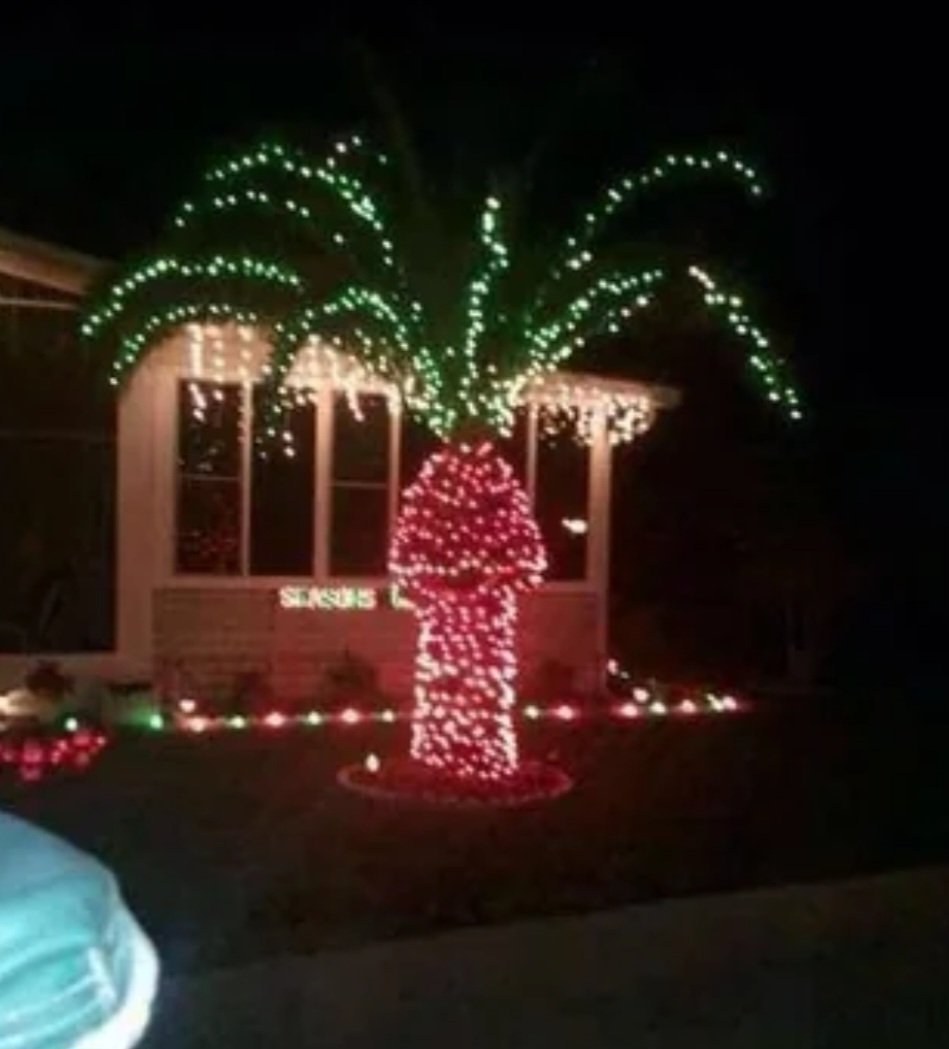PhilTuzzolino's tweet photo. @nurmiunchained @derekvampyrslyr Doesn't compare to my Florida Christmas palm tree decorations. https://t.co/T1FmKEZAb2