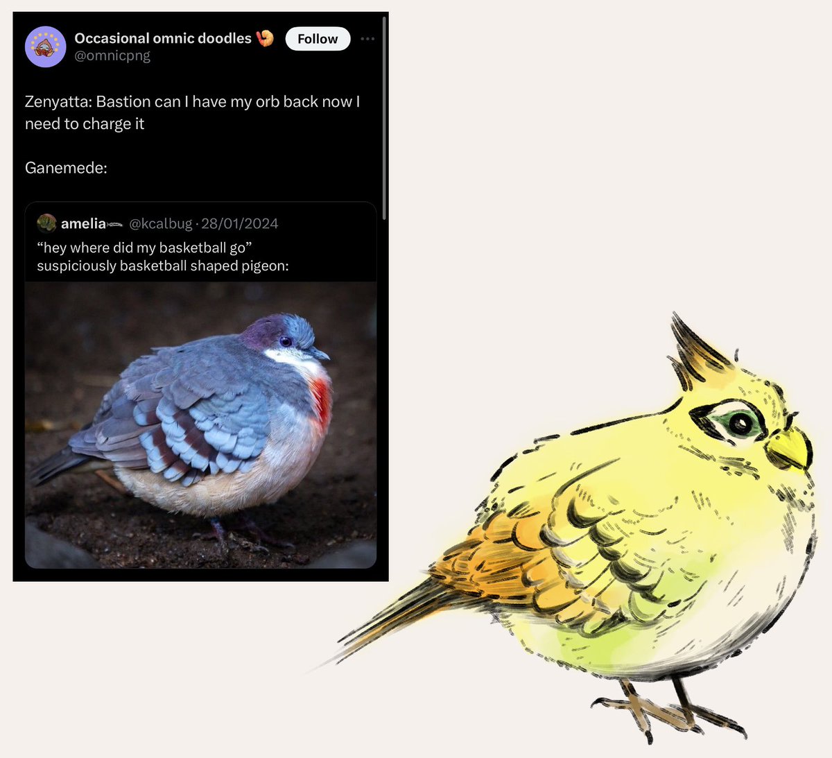 Lincoln 🎗️🐷 (@lincoln0666) on Twitter photo 