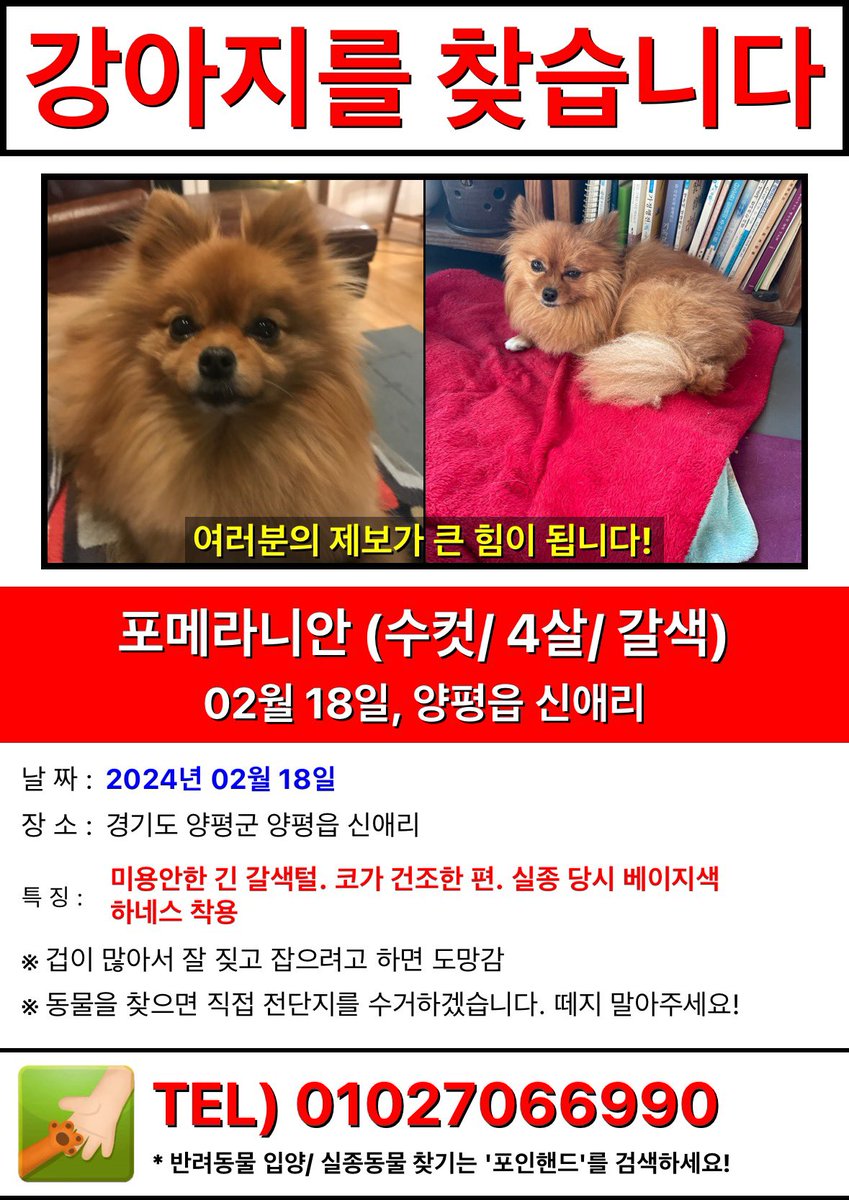 원영인 (@younmorningcalm) on Twitter photo 