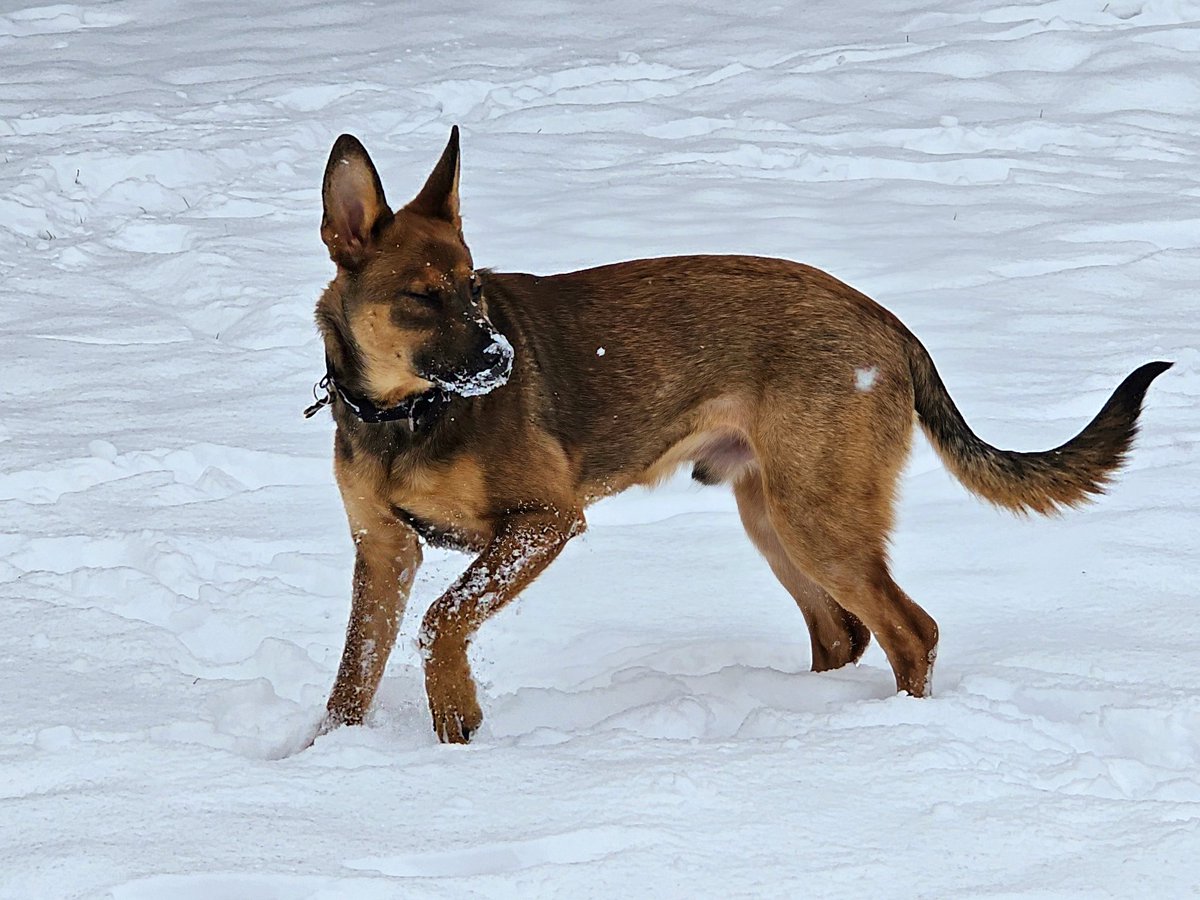 He's a good boy....most of the time