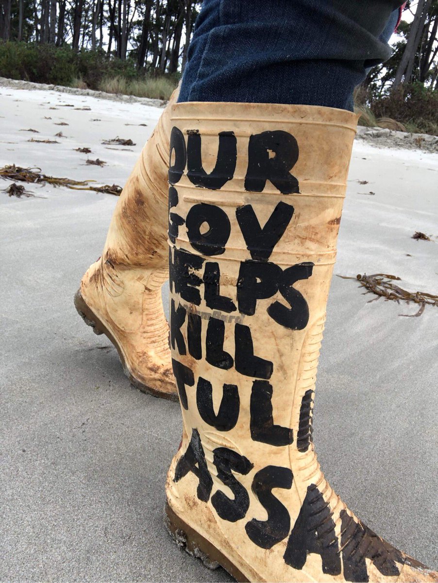 AussieBels's tweet image. #FreeAssange #FakeMP #PentagonPenny