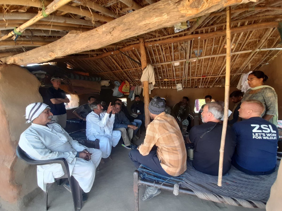 Wildlife Institute of India tweet media