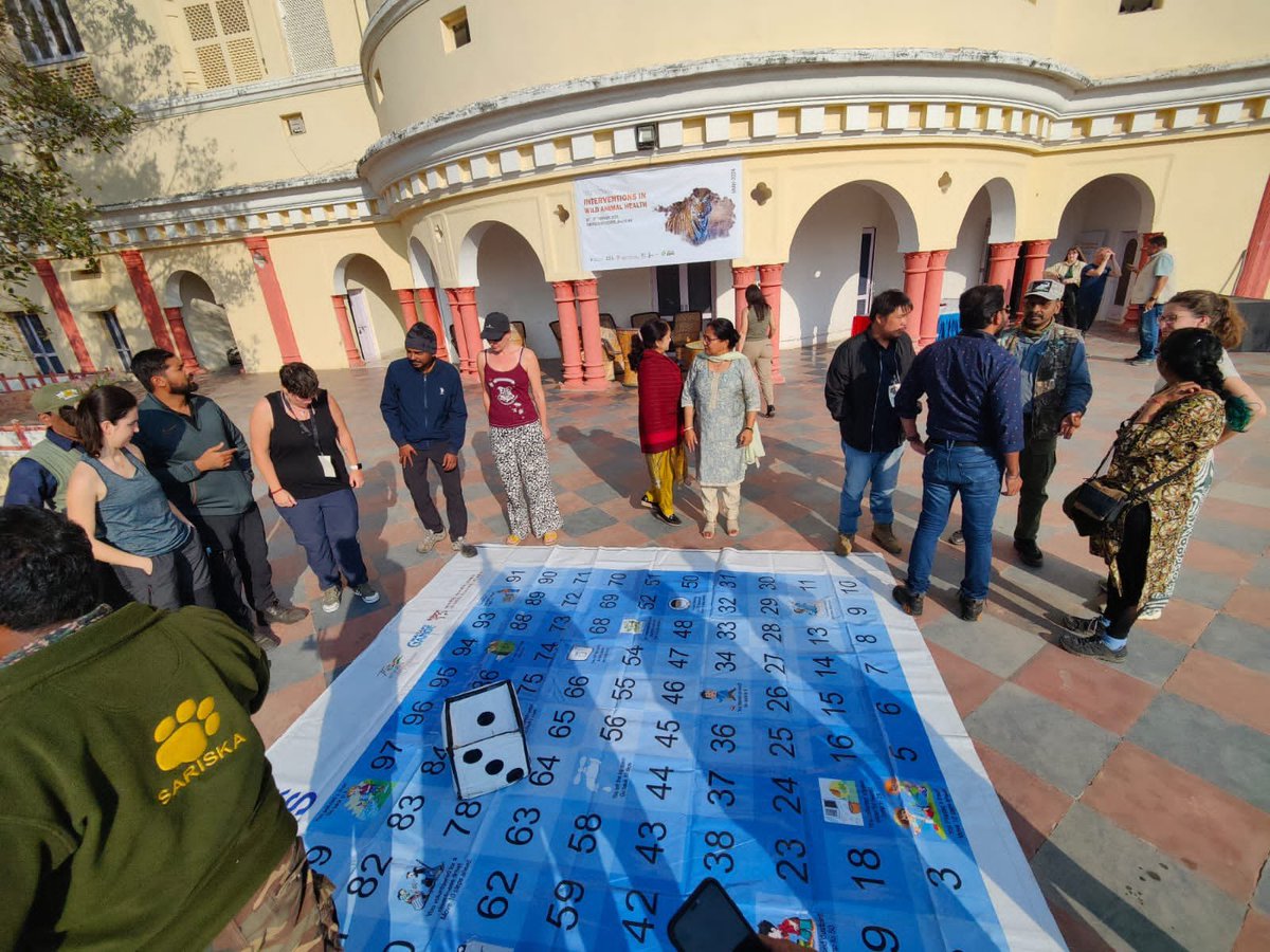 Wildlife Institute of India tweet media