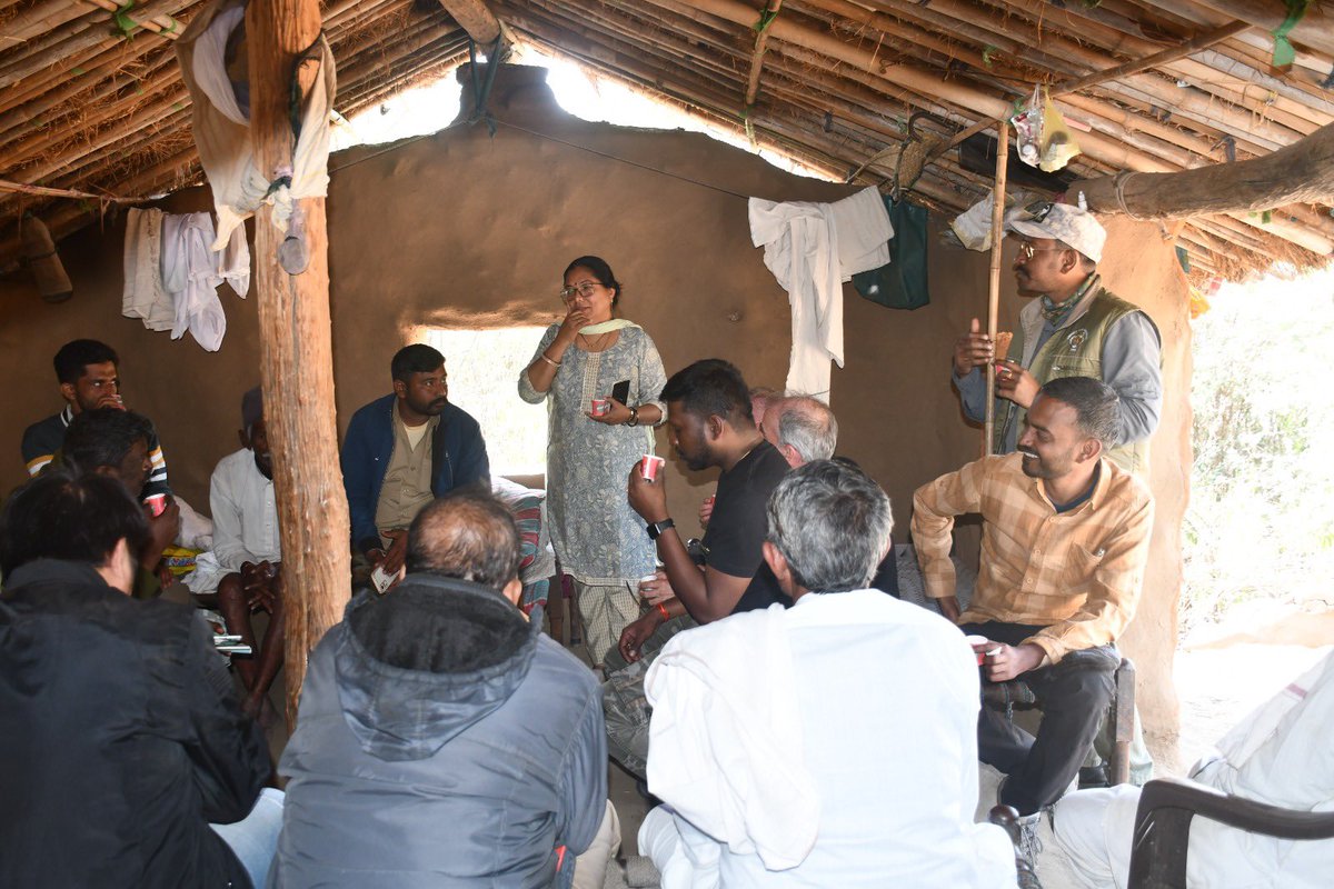 Wildlife Institute of India tweet media