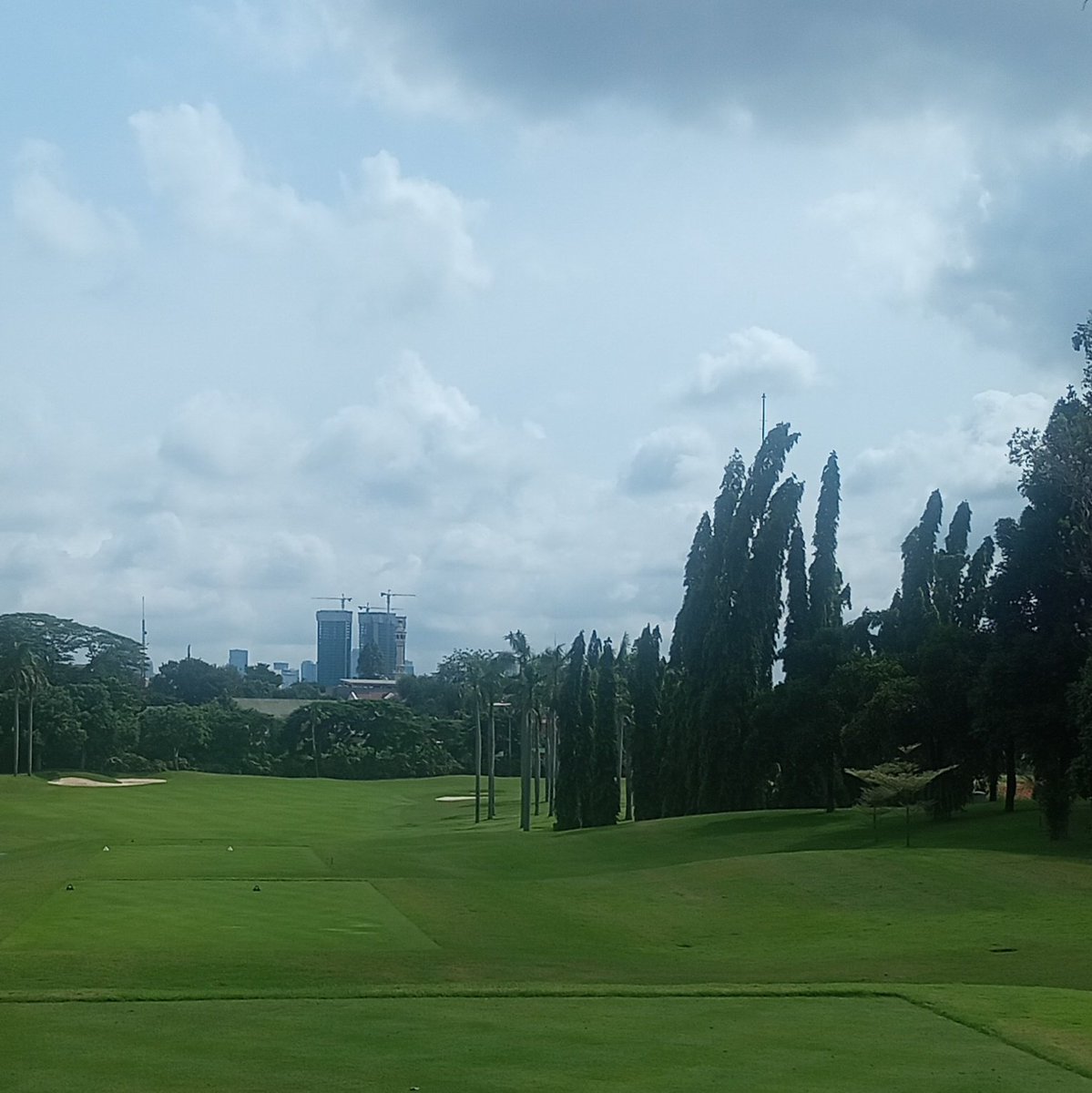 cuape_poll's tweet image. cari rumput dulu