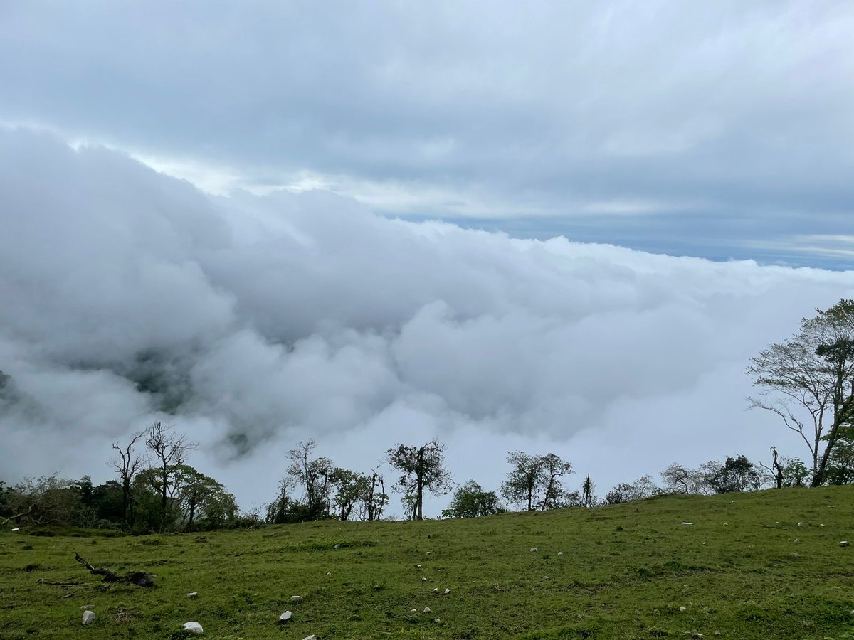 Trail Den en las nubes. @utmex @ASICSmexico #asicsrun #templorunner1 #yoelegicorrer1 #manicomiorunners 🤪🤪😜😜🏃‍♂️🌲🏃‍♂️🌲⛰️⛰️