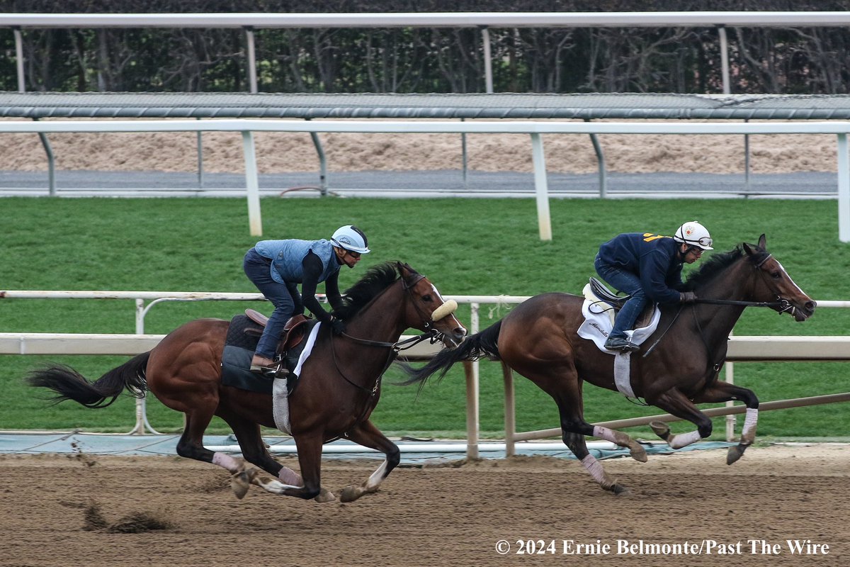Lane Way (outside, 5F: 59.80 H) working this morning in company with Greer My Dear (inside, 5F: 1:00.00 H).