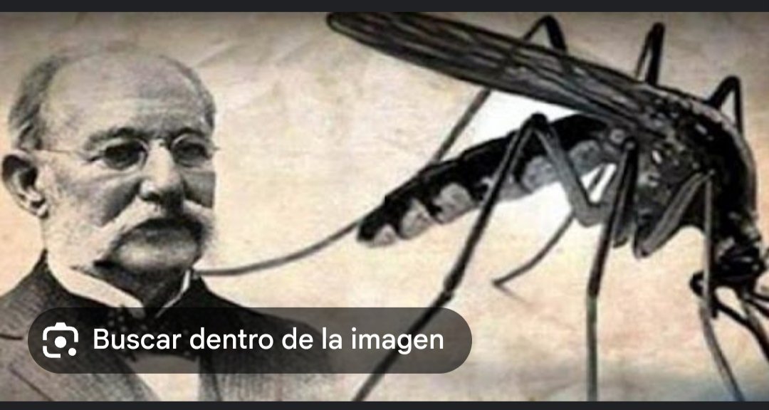 AcostaDulv91546's tweet photo. 18 de Febrero 1881: El Dr. Carlos J. Finlay hace su trascendetal y científica afirmación de que el mosquito es el agente transmisor de la fiebre amarilla.
#Cuba
#CubaCoopera
#CUBA_Cooperadj
#CubaCooperadj
#uccm https://t.co/knkZRWRl1y