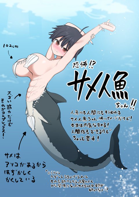 キャラ紹介 サメ人魚ちゃん 