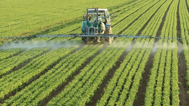 JuanPascual4's tweet photo. 2/ Uno de los pilares de la agenda 2030 en Europa es la estrategia de la granja a la mesa que contiene alguno de los siguientes enunciados:
- Reducción del 50% de pesticidas y del 20% de los herbicidas para el 2030
Reducción arbitraria y sin base científica que entra en contradicción con los objetivos de reducción del hambre, del fin de la pobreza y del de vida de ecosistemas terrestres 👇
https://t.co/MFuEZIp95d