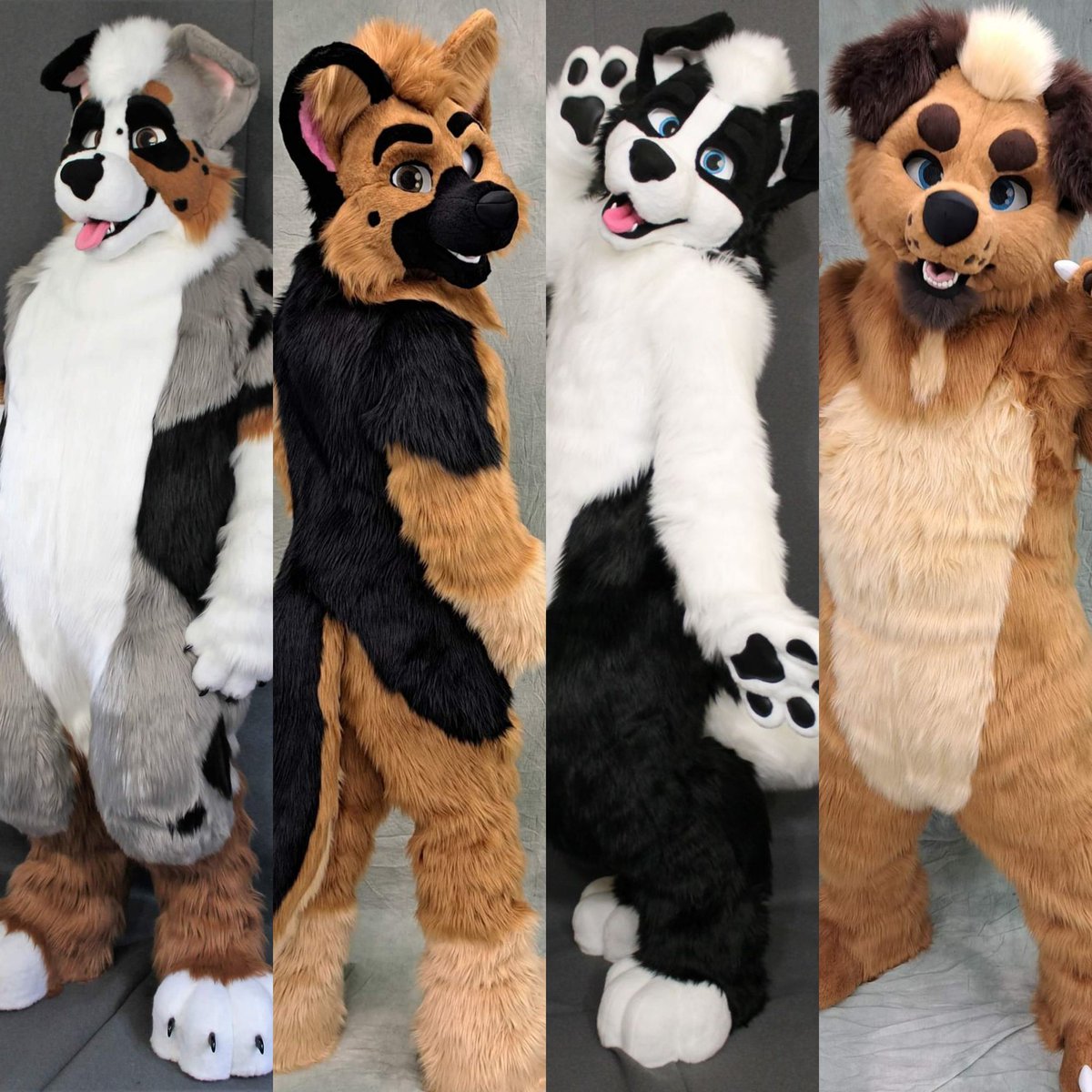 TheKareliaFursuits 🔜 Dokomi, EF29, Furnavia. (@thekarelia) on Twitter photo Who loves dogs? We do! ❤️🐶
Here are some dog breeds we've made in the past. <a href="/AusterTheAussie/">Auster ! 🇮🇹</a> the Australian Shepherd, <a href="/MaxyDoggo/">Max</a> the Caucasian Shepherd Dog, <a href="/Aceshepherd69/">Ace shepherd</a> the German Shepherd and <a href="/PretzelzCollie/">Pretzelzcollie</a> the Border Collie 🐕 Who loves dogs? We do! ❤️🐶
Here are some dog breeds we've made in the past. <a href="/AusterTheAussie/">Auster ! 🇮🇹</a> the Australian Shepherd, <a href="/MaxyDoggo/">Max</a> the Caucasian Shepherd Dog, <a href="/Aceshepherd69/">Ace shepherd</a> the German Shepherd and <a href="/PretzelzCollie/">Pretzelzcollie</a> the Border Collie 🐕