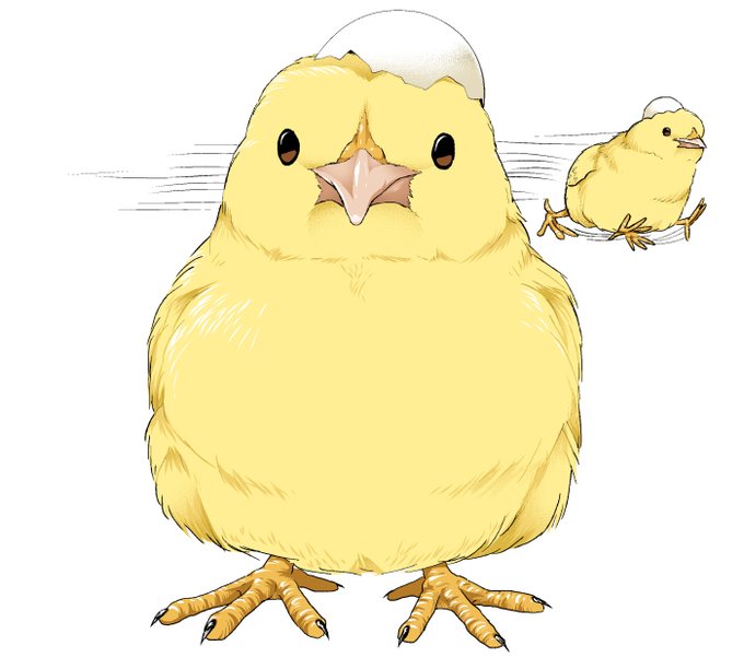 「鳥 卵」のTwitter画像/イラスト(新着)