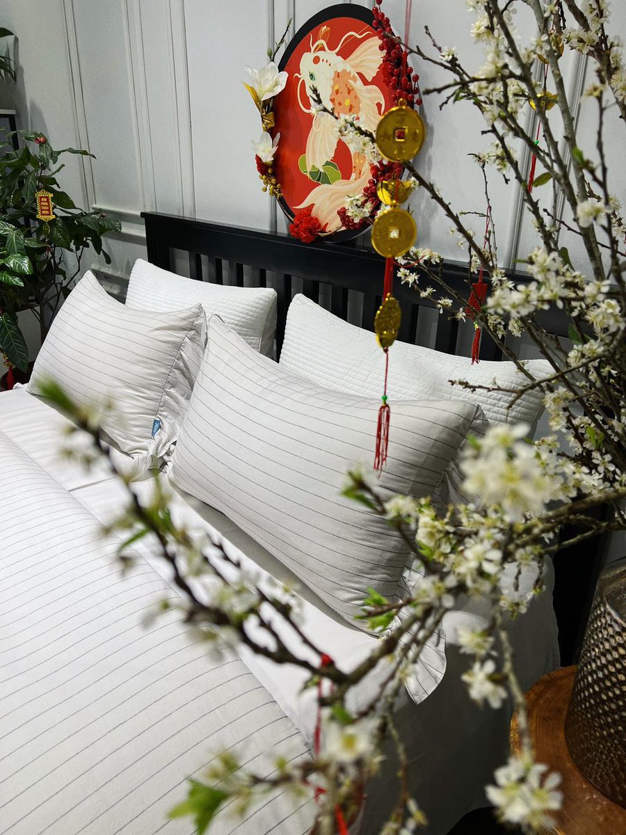 LUCIENE DA CRUZ tweet media