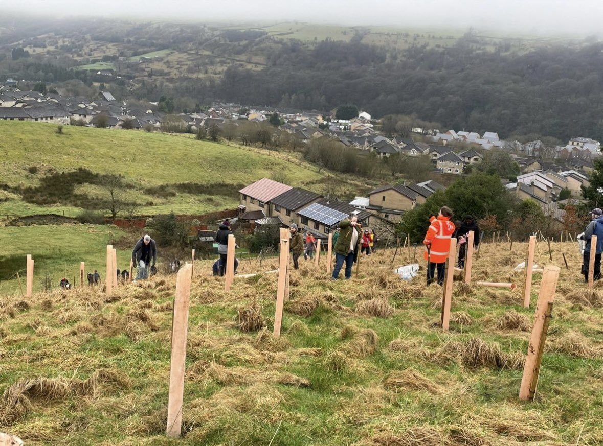 Lets talk about Rossendale Forest - As part of Rossendale Borough Council’s commitment to reducing the carbon footprint we made a pledge to plant 16,000 trees by May 2024. 👇🏻 Amazing work 👏👏👏