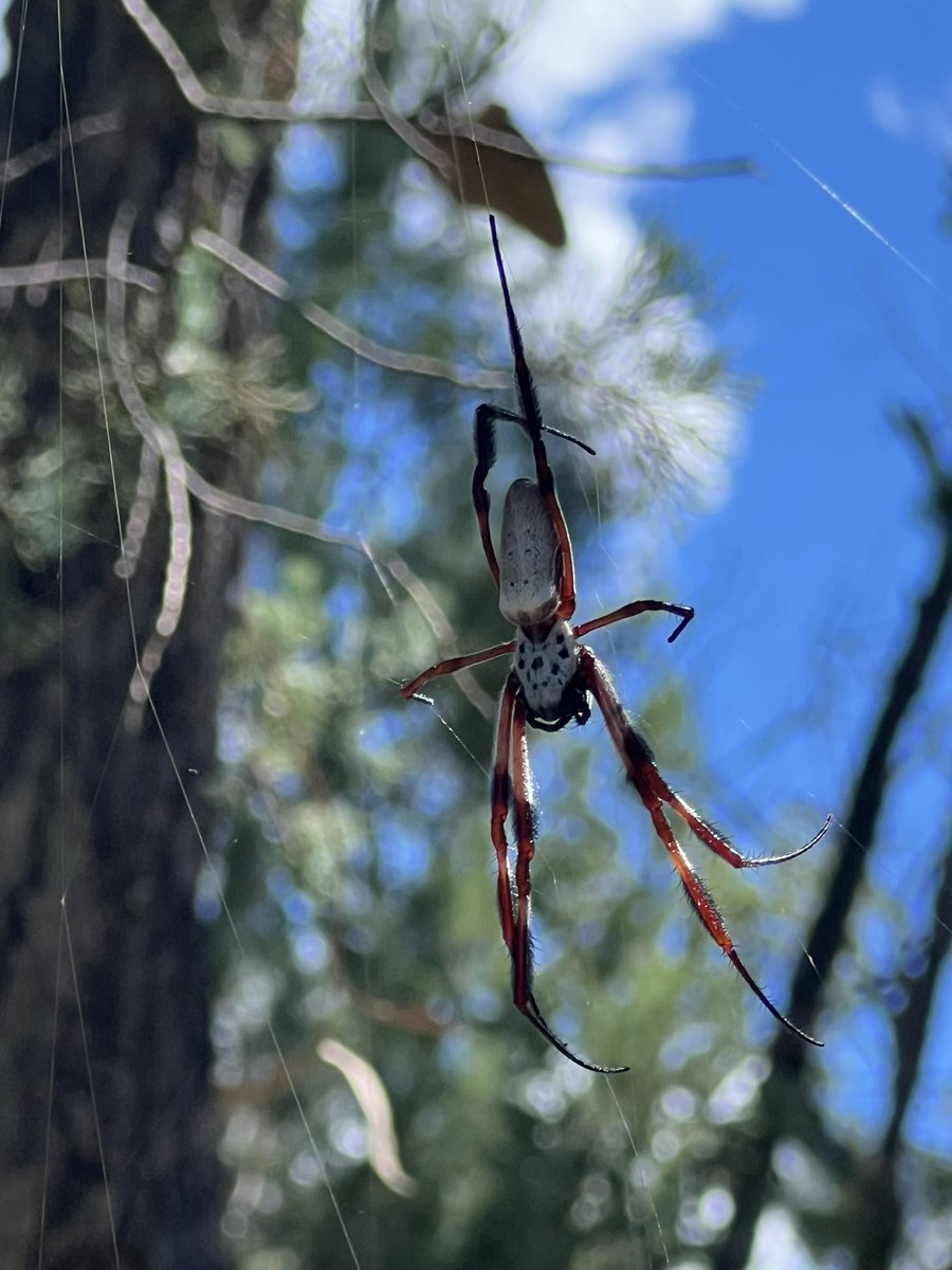 javieriru's tweet image. Decime que estás en Australia sin decirme que estás en Australia