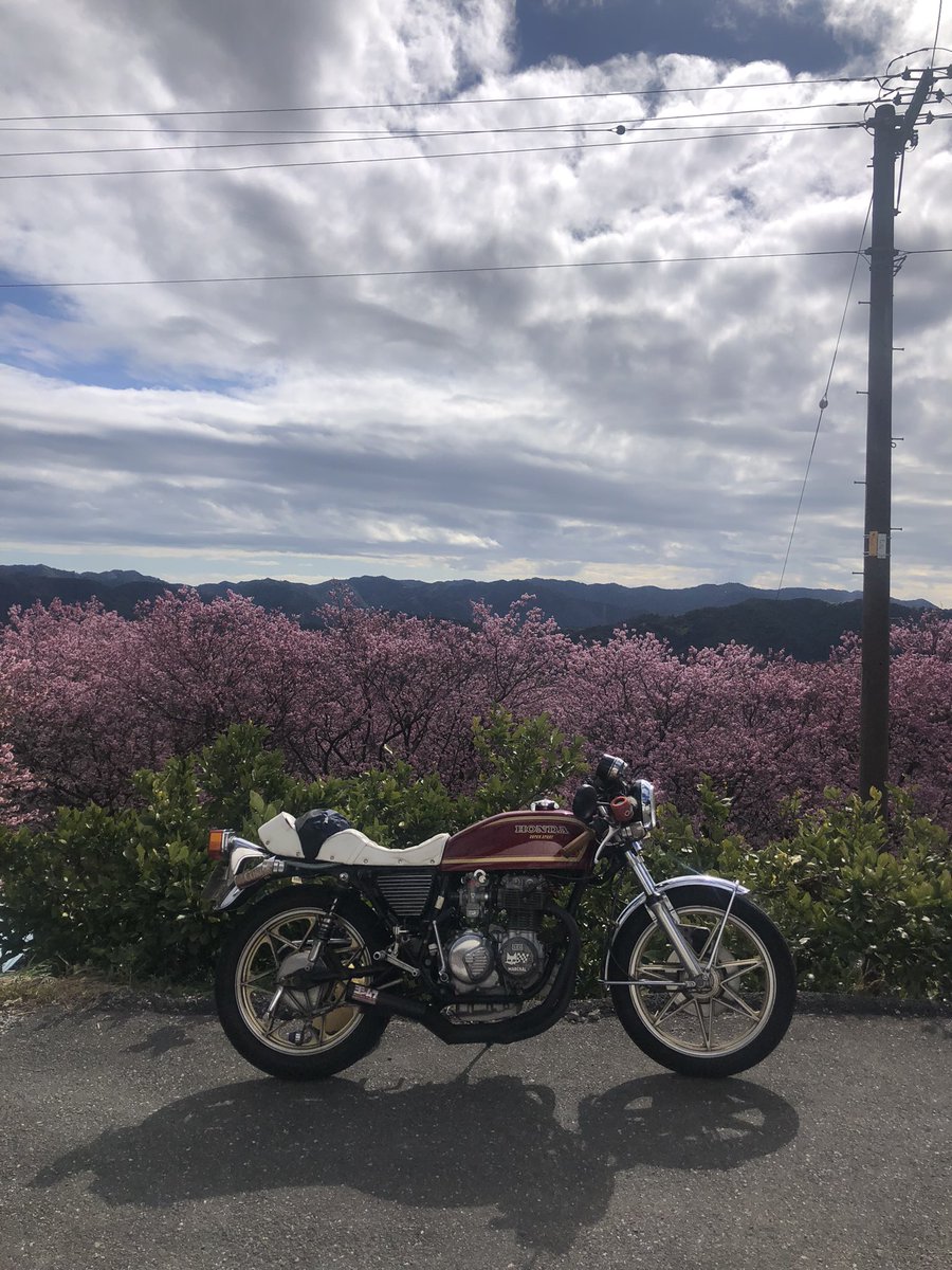 cb400four_star's tweet photo. 桑田山の桜 https://t.co/0hnzJ44rUG