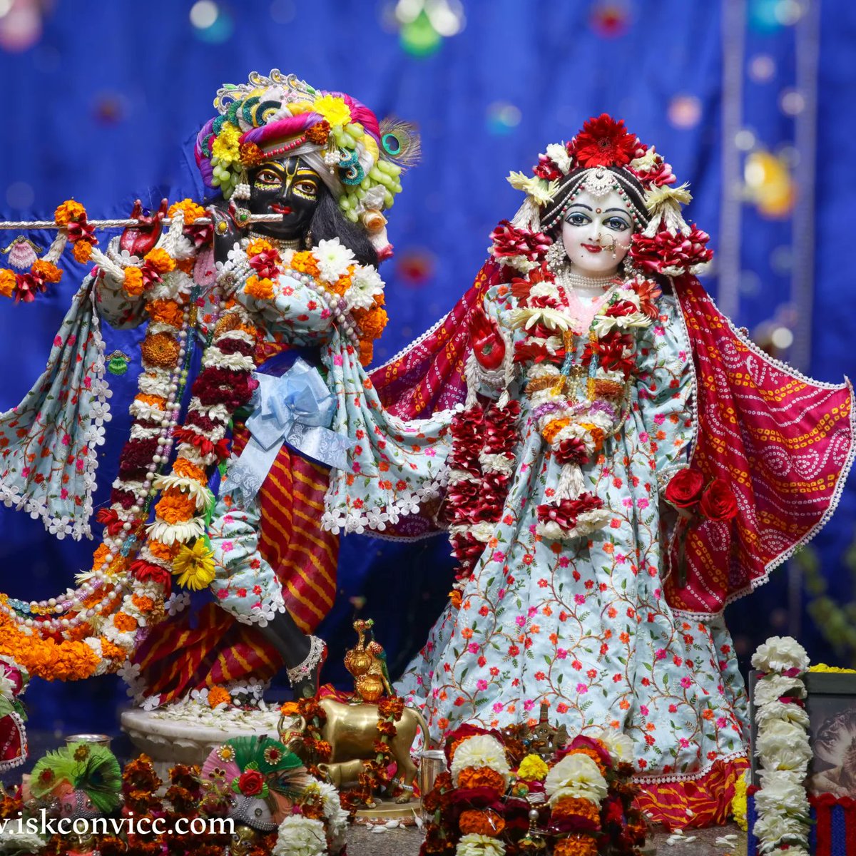 iskconvicc's tweet photo. Śrī Śrī Radha Gopal Darshan - 18/2/2024 @iskconvicc
#radhagopal #iskconvicc #iskconvaranasi #aajkedarshan #dailydarshan #whiteandred #sundaydarshan
#weekend #kanhaiya #morningdarshan #radhakrishnalove #blessings #banaras #iskcontemple
#iskconworld https://t.co/JJqCMmc0FT