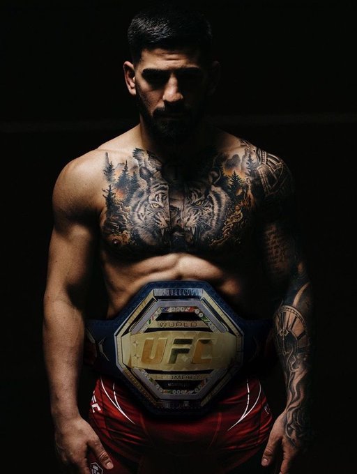 (fan) Mario tweet media