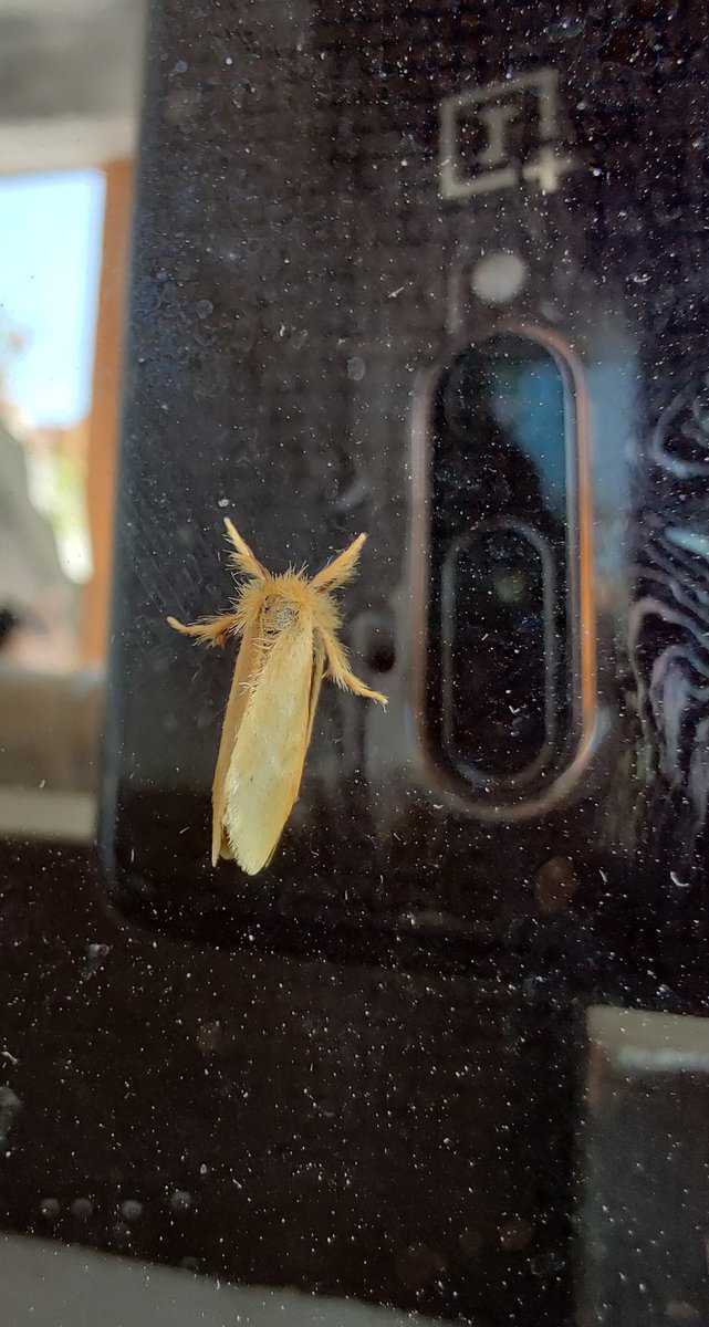 Stiflingtwo4's tweet image. Indeed Allah is the best creator ❤️❣️