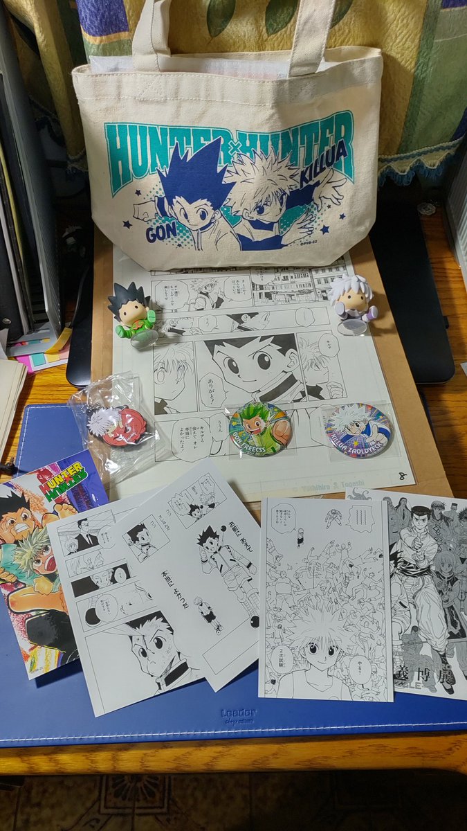 ItalianMelone's tweet photo. 炫耀一下我的 hxh 收藏 https://t.co/7NvARIMfq4