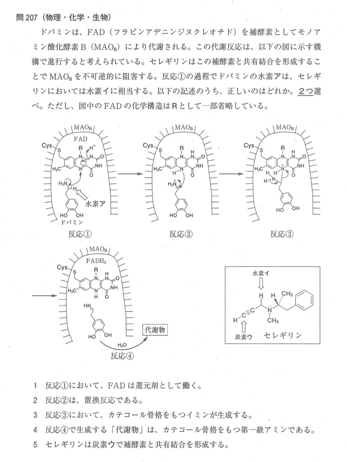 わかりやすい薬理学━薬の効くプロセス 第14版 41Ui4pkTtPL._AC_SY200_QL15_.jpg
