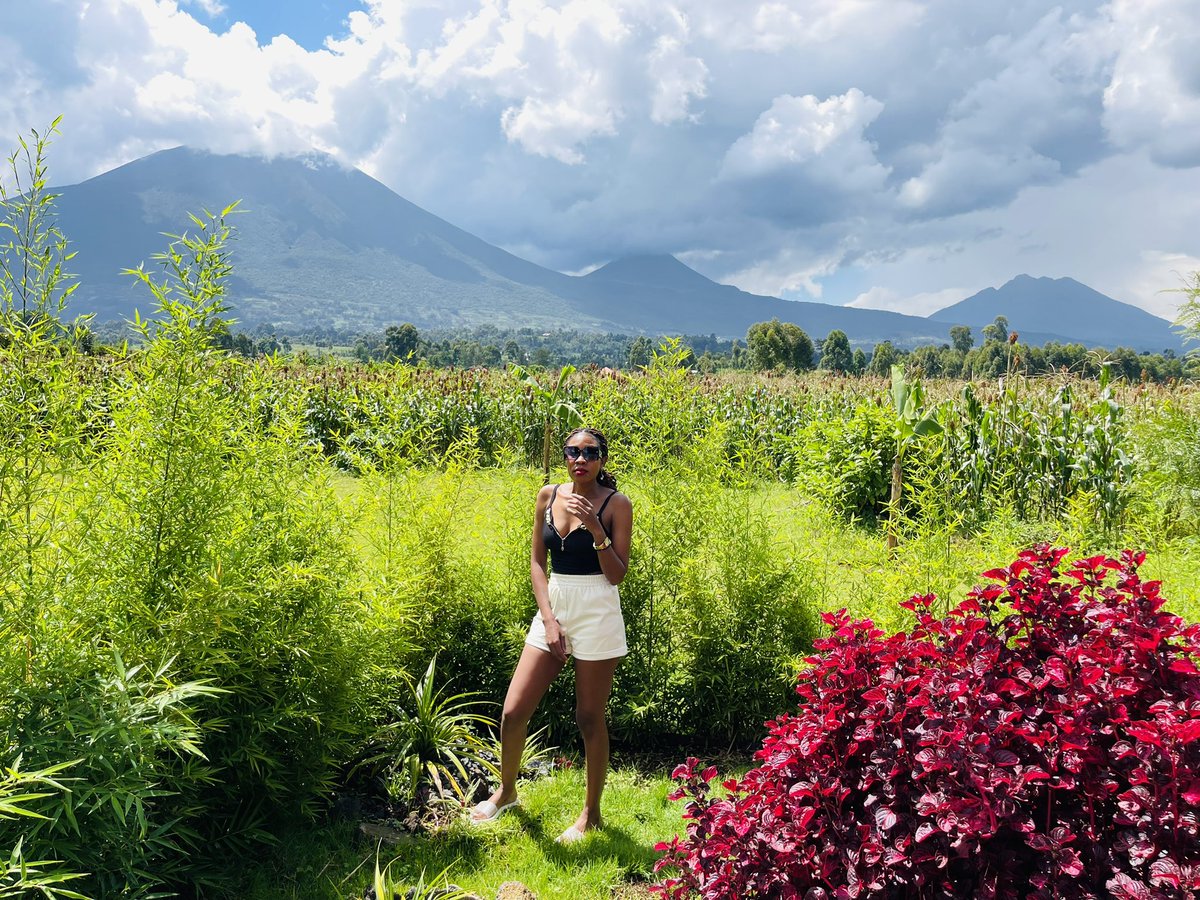 KanunguJuiceMo's tweet photo. I was here in December @ImbogoLodge  most beautiful place, breathtaking n romantic place in Kisoro 🤗  
Do u see the 3 mountains at the back frame4🤗🤗 https://t.co/IxqEL5GFMQ