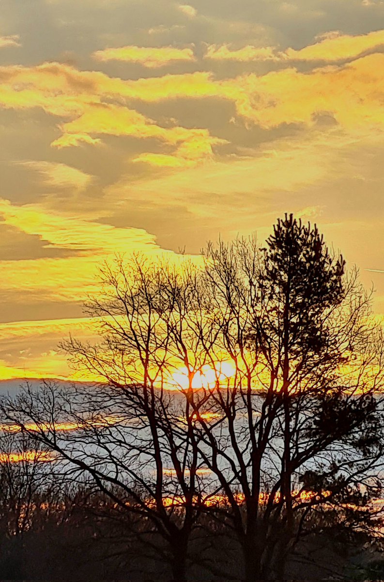 Krásnou neděli 🍀