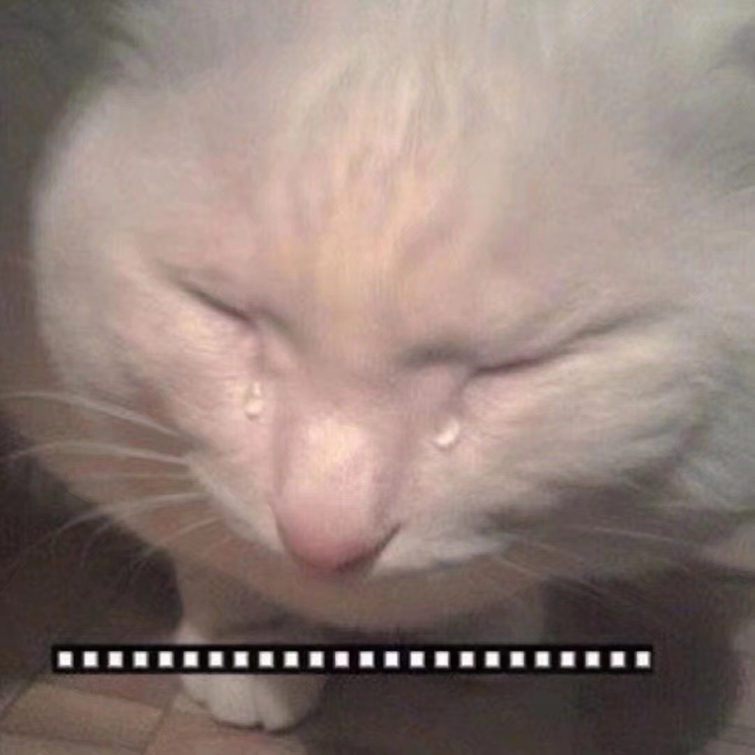 seokjin y namjoon deseándole un feliz cumpleaños a hobi... lloro