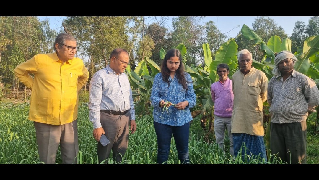 IFFCO_UP's tweet photo. The deficiencies of Zn, B &amp;K observed in plots. Suggested for foliar sprays of IFFCO  Boron (20% B) @ 2 - 4 g per litre of water and of Zinc sulphate  (33% Zn)  @ 3 g/litre of water at fortnightly interval.@IFFCO_PR @drusawasthi @iffcoyogendra @abhimanyuiffco https://t.co/ZNTGNyXTLN
